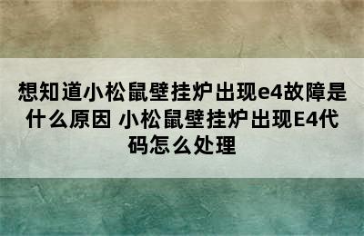 想知道小松鼠壁挂炉出现e4故障是什么原因 小松鼠壁挂炉出现E4代码怎么处理